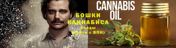 шишки Богородицк