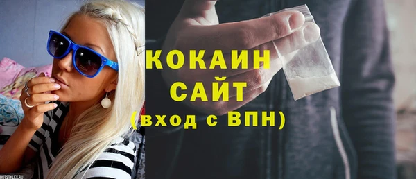 шишки Богородицк