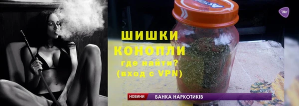 шишки Богородицк