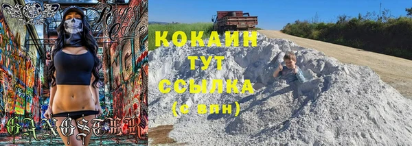 шишки Богородицк