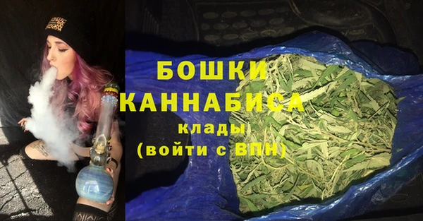 бошки Богданович
