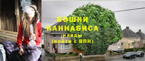шишки Богородицк