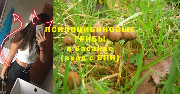 шишки Богородицк