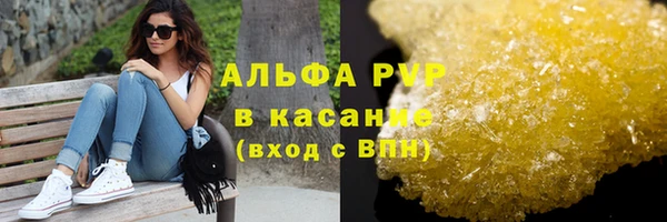 шишки Богородицк