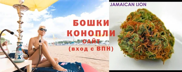 шишки Богородицк